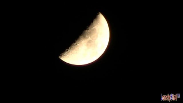 The Moon On April 17 2013 смотреть онлайн