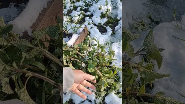 утро 14.05.2024г. смотреть онлайн