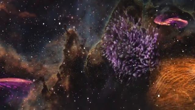 The New Cosmos 2017 Fiction смотреть онлайн