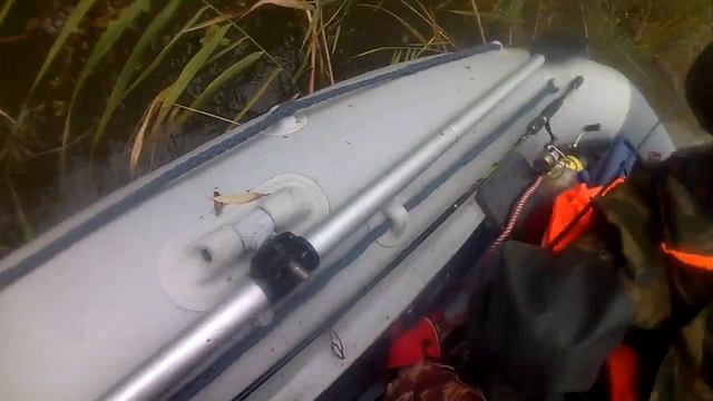 Мы видим рыбу,но и рыба видит нас !!! смотреть онлайн