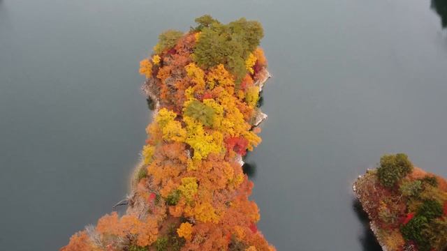 Autumn in Japan смотреть онлайн