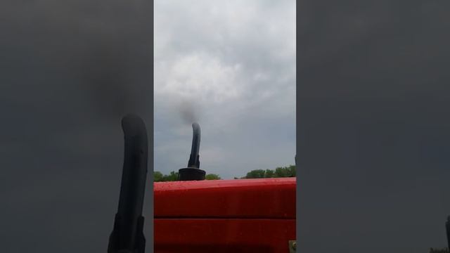 Шіфенг 244 смотреть онлайн