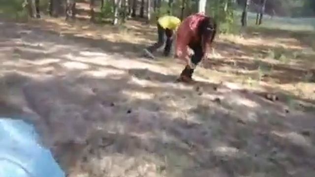 11 серия  Тайна Хвостов