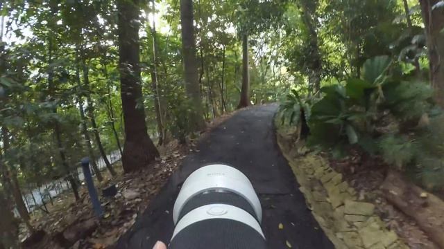 Botanic Gardens Singapore Part 3 смотреть онлайн