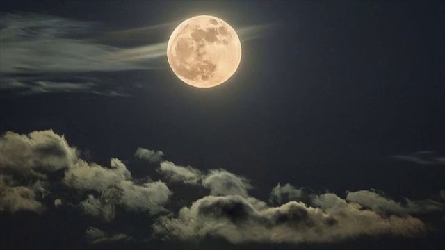 Rizza — Полнолуние (unreleased)