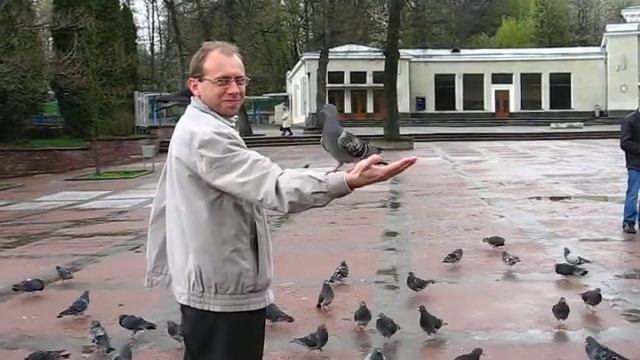 Голуби и белки смотреть онлайн