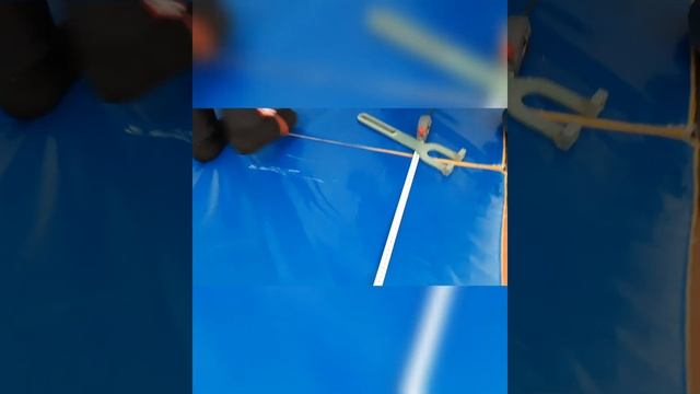 Всероссийские спортивные соревнования школьников смотреть онлайн