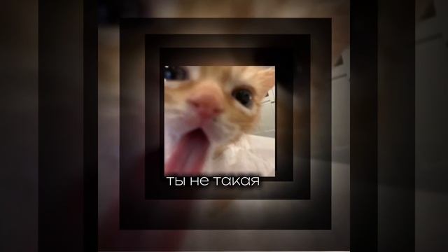 плейлист чтобы потанцевать русских песен комфорт