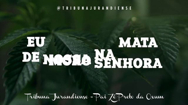 Pontos de Chamada e Chegada de Caboclo - Mata смотреть онлайн