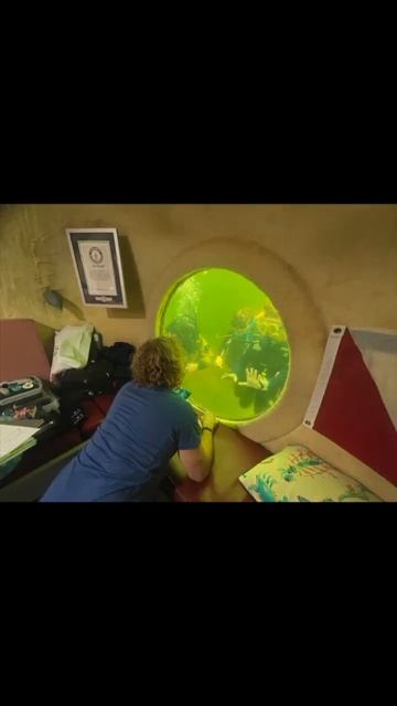 The Window Project Neptune 100 смотреть онлайн