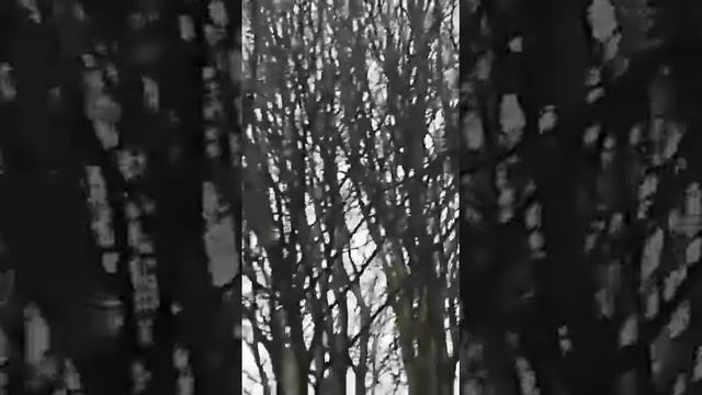 UFO ? What is that ? United Kingdom 🇬🇧 НЛО ? ЧТО ЭТО В НЕБЕ ? ВЕЛИКОБРИТАНИЯ 🇬🇧 смотреть онлайн