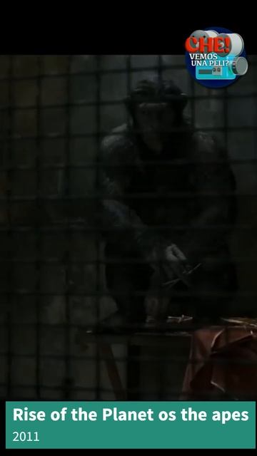 Rise of the planet of the apes curiosidades sobre la peli #movie #shorts смотреть онлайн