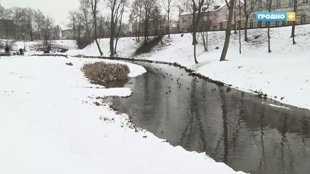 Новости Гродно (Выпуск 05.02.20). News Grodno. Гродно Плюс