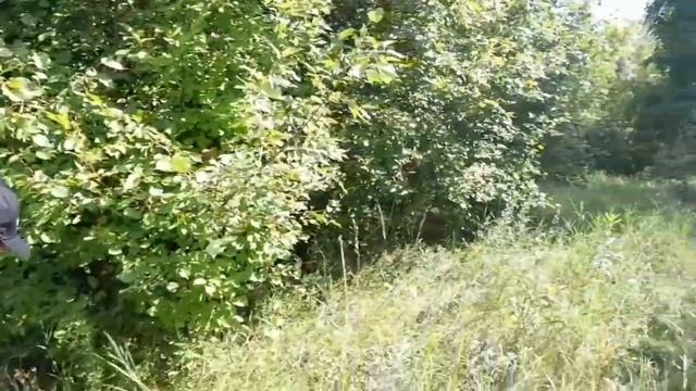 День Марса 🥰 СБОР ТРАВ смотреть онлайн