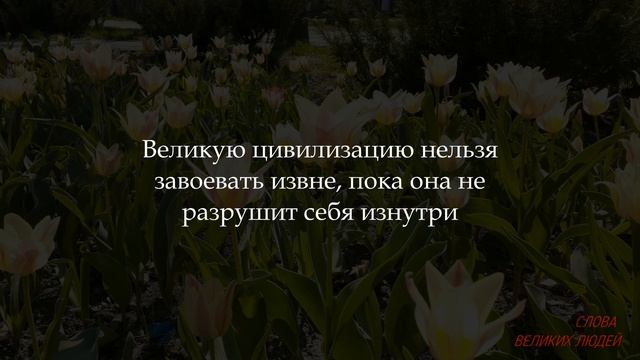 ЭТИ ЦИТАТЫ ПРОБИРАЮТ ДО МУРАШЕК. МУДРОСТИ ЖИЗНИ И ОТНОШЕНИЙ смотреть онлайн