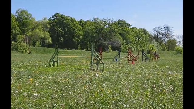 Рико (Каташи) 12-14 месяцев смотреть онлайн