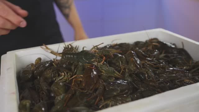 10 САМЫХ БЕЗУМНЫХ СПОСОБОВ ПРИГОТОВЛЕНИЯ РАКОВ смотреть онлайн