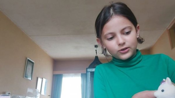 Sylvanian families, распаковка игрушек