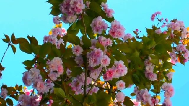 РЫБЫ! Гороскоп на июль 2022 года!