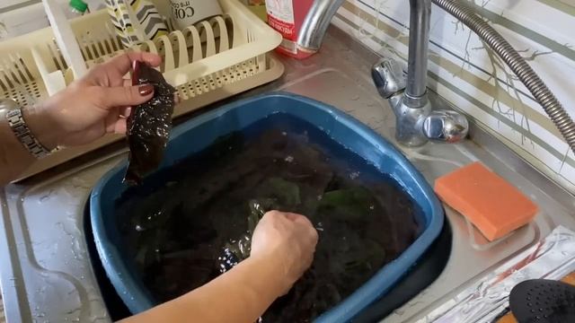 Что мне делать - зарабатывать или здоровье поберечь? Собрала заново клумбы, заготовила мангольд смотреть онлайн