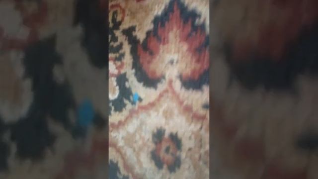Пришли посылки для ТВ 4 смотреть онлайн