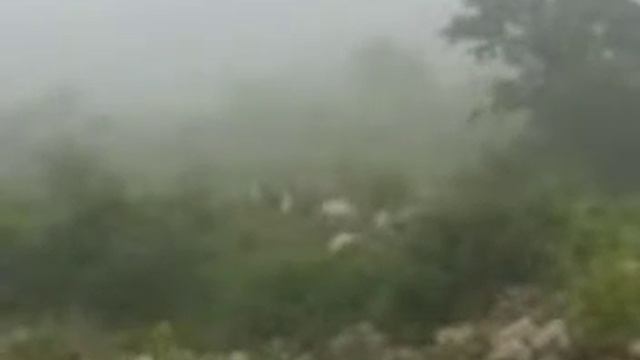 НЛО ??? Ваши версии ??? смотреть онлайн
