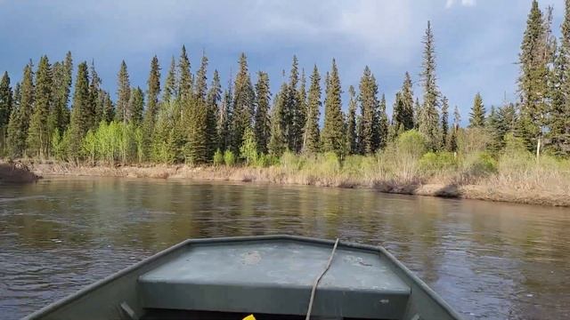 1652mt lowes with 25 mercury jet смотреть онлайн