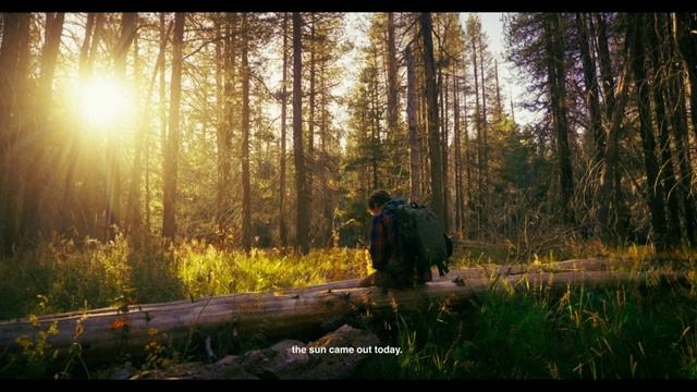 Рюкзак с кирпичами