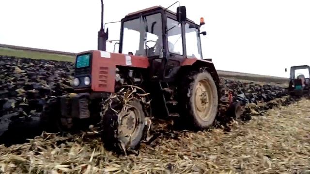 Mtz 892 oranje смотреть онлайн