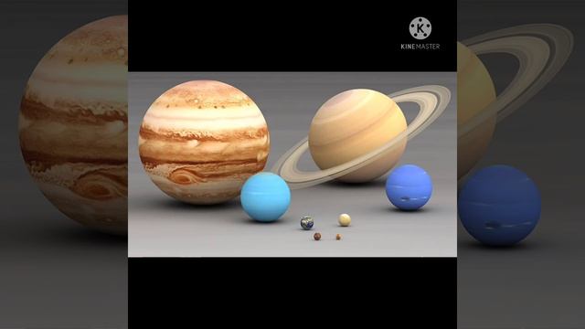 venus смотреть онлайн