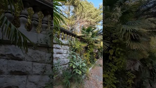 Сочи. санаторий Орджоникидзе. ноябрь 2020г смотреть онлайн