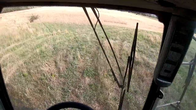 #VLOG Czy my skosimy wreszcie ten jęczmień ?? Niedojrzałe dołki / poryte przez dziki/ MF 7244 Activ смотреть онлайн