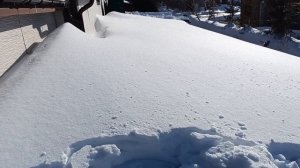 Чистка от снега крыши навеса из поликарбоната площадью 100 кв. метров в Самаре