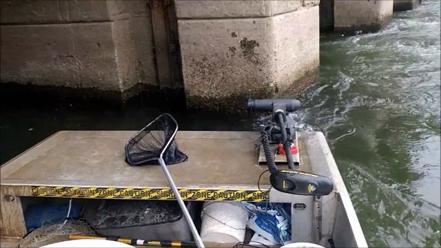 Soup Dudes Scoop Some Threadfin Shad!!! смотреть онлайн