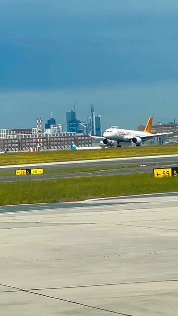 Pegasus Airlines Landing at Frankfurt Airport #shorts #aviation смотреть онлайн