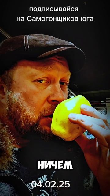 Покупная айва не годится для ароматного дистиллята