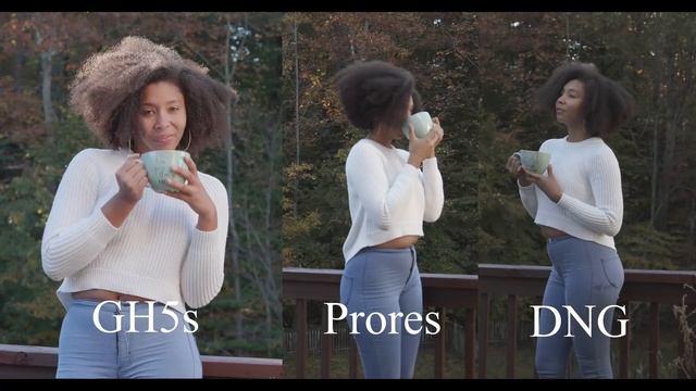 BMPCC 4K Vs GH5s | Film Vs V-log L | Dynamic Range
