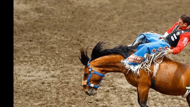 Animal rights group asks Kevin Costner not to lead Calgary Stampede parade смотреть онлайн