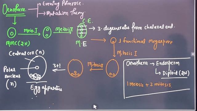 Types of EmbryoSac: Monosporic,Bisporic,Tetrasporic || By Anju ma'am || @scienceplanetbiology смотреть онлайн