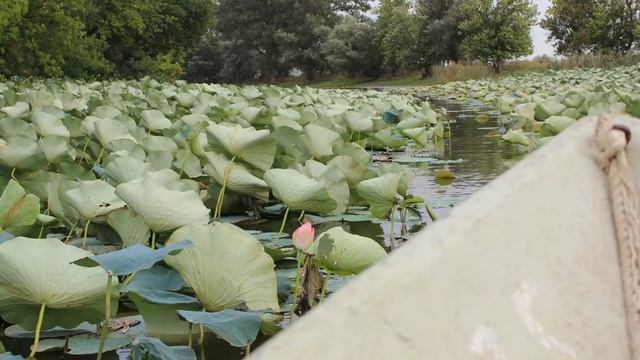 Как слить бензин из бака автомобиля смотреть онлайн