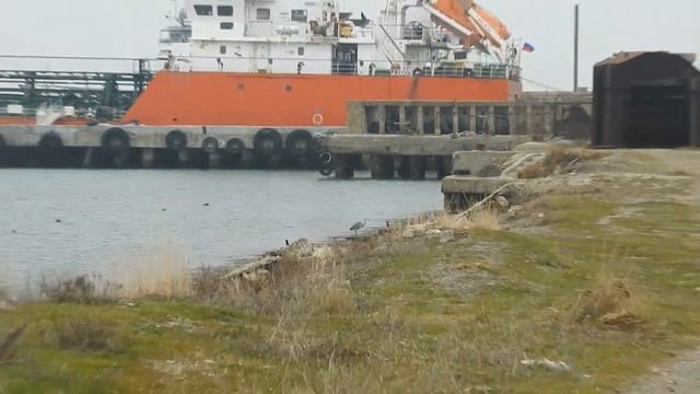 Порт Крым.Серая цапля. Погнали наши городских... смотреть онлайн
