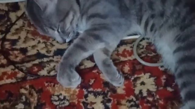 2021.10.17 - Марсианские хроники смотреть онлайн