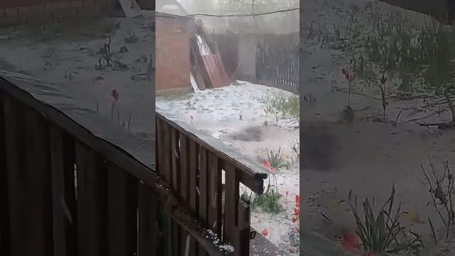 28.04.2019 град в м. Ніжин смотреть онлайн
