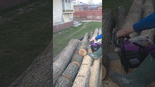 micul padurar 6800 смотреть онлайн