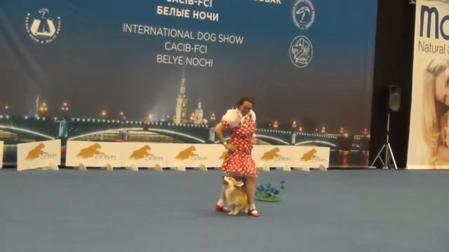 Савина Валентина и Стиль Лайф Дон Корлеоне смотреть онлайн