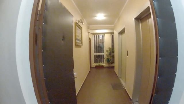 Feiyu FY-G4 first test - тестовый забег по лестнице смотреть онлайн