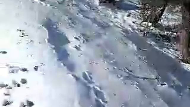 Охота с пневматикой мр512