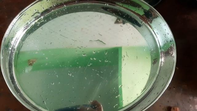 Weight loss Routine | Day 23 / 24/ 25| Intermittent Fasting |Tamil | What I eat in a day | FOOD CAS смотреть онлайн