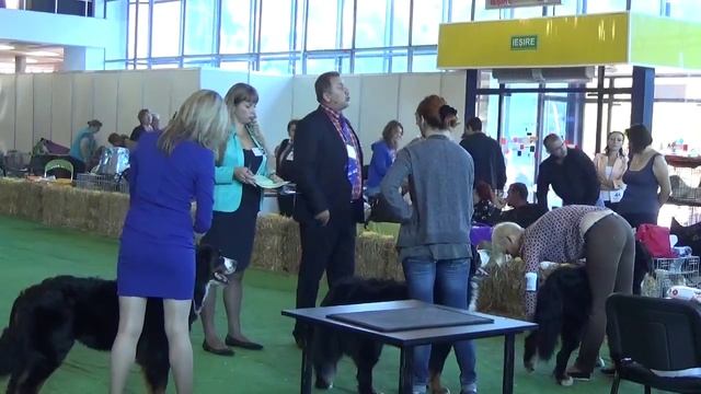 "MOLDAVIAN WINNER 2015" 27.09.15 ч.4 смотреть онлайн