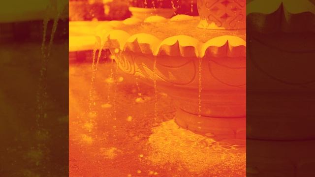 Friendly Reading Focus смотреть онлайн